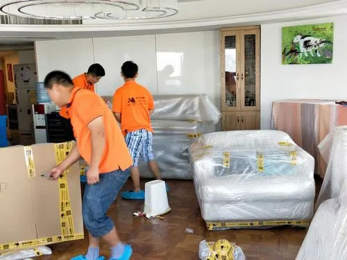 林甸精品搬家公司